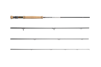 Primal-Revel Bach-Set