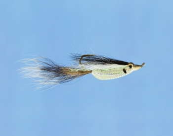 Fliege