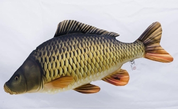 Stofffische-Dekofische