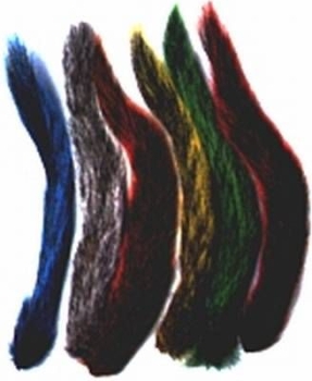 Squirell Tail (Eichhörnchen)