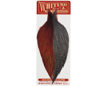 Whiting Combo Starter