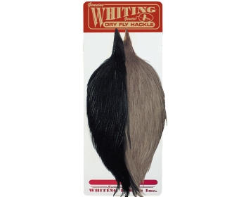 Whiting Combo Starter