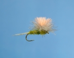 Fliege
