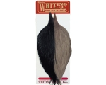 Whiting Compo Hahnenskalb Grade Bronze - Black/ Dun